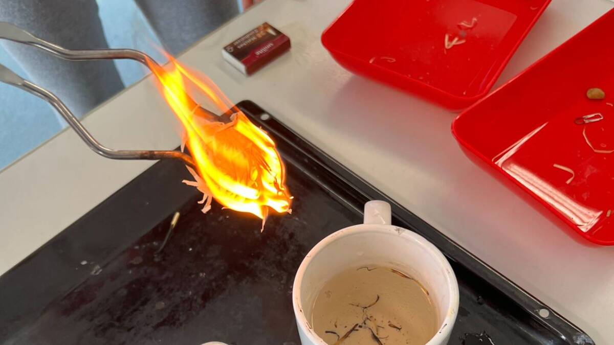 Bild Experimentiertag 2025 - Feuer