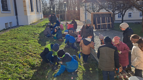 Bild Pflanzaktion 2024