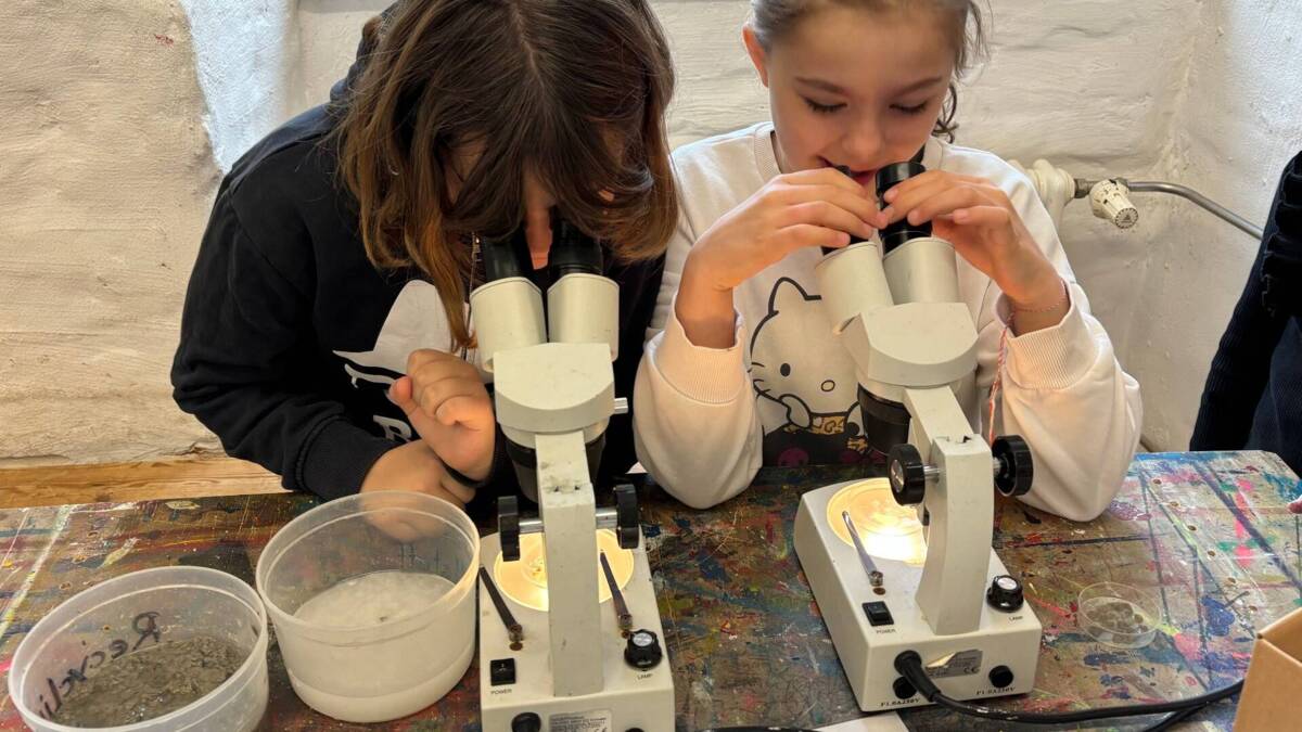 Bild Papierherstellung 2025