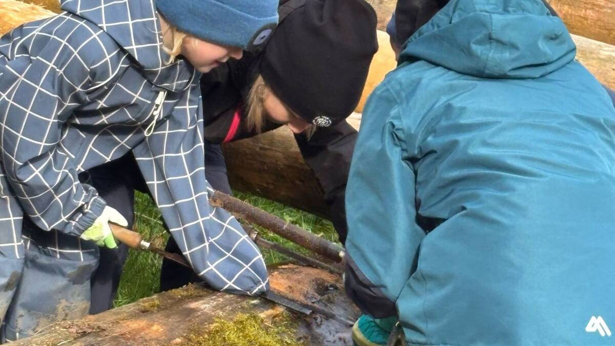 Bild Holzraspeln 2025