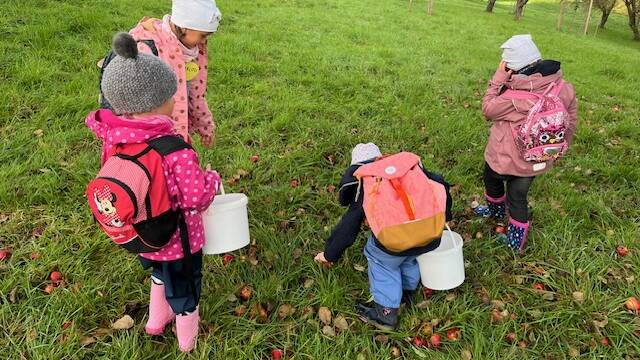 Bild Kinder beim Äpfelsammeln